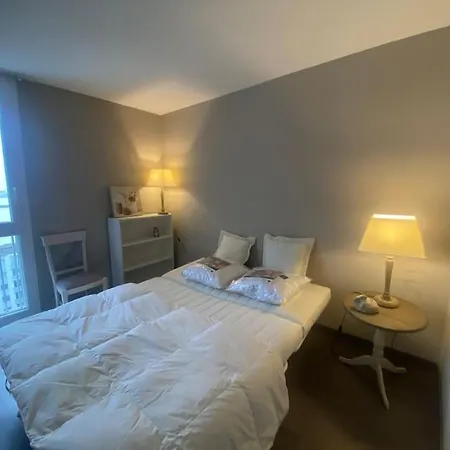 Panorama Lillois, Concierge-city Apartmán La Madeleine (Nord)